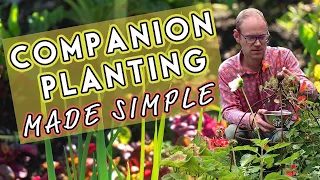 Why Vegetables Need Friends: Companion Planting Made Simple 🌺