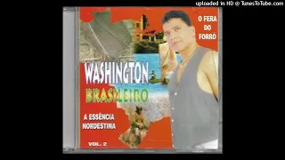 WASHINGTON BRASILEIRO / FEIA QUE DOI