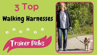 Best Small Dog Harnesses To Keep Your Pup Safe And Secure | Harnessed to Help Stop a Dog Pulling