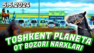 TOSHKENT PLANETA OT BOZORI NARXLARI 5.5.2024  @Xiloliddin_Uz