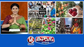 All Set For Polling | Apple Garden - Hyderabad | Flower Festival - Kodaikanal | V6 Weekend Teenmaar