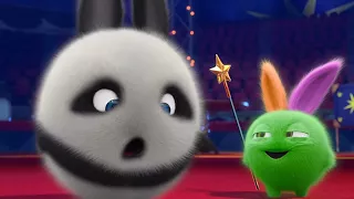 Sunny Bunnies | Big Boo the Panda | COMPILATION | Videos For Kids | WildBrain