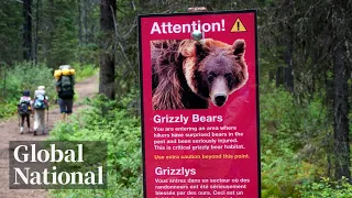 Global National: Oct. 1, 2023 | Grizzly bear attack in Banff National Park leaves 2 dead