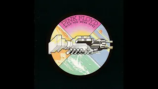 Pink Floyd - Shine on you crazy Diamond (Part I) - Vinyl Remastered