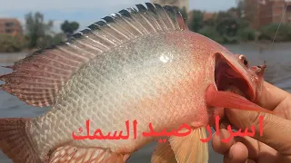 اسرار صيد السمك هذه الايام