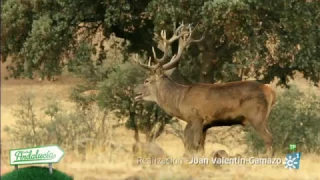 Destino Andalucía |  Recorremos  la Campiña Norte de Jaén