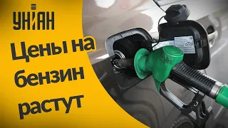 Цены на бензин в Украине продолжают расти