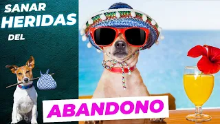 ▶ Como SANAR la Herida del ABANDONO 😥| Sanación de Heridas Emocionales Ep.3