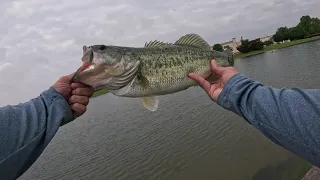 Fishing with only Top water baits!!