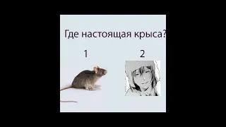 Озвучка мемов бсд.)