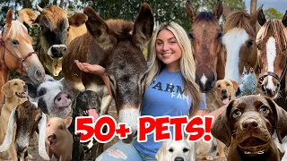 ALL MY ANIMALS In ONE VIDEO 2022!! 50+ Pets!