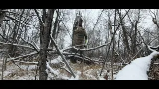 Охота на куницу.помогаю кунице выбраться из дупла стволами)))