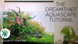 AQUASCAPE TUTORIAL - BUILDING a 60cm High Tech Planted Aquarium --"THE DREAMTHIEF"