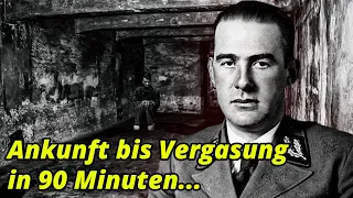 DIESER NAZI LIEß 2 MILLIONEN MENSCHEN VERGASEN UND WAR STOLZ!?... | Odilo Globocnik (Dokumentation)