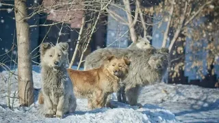 ОСТАНОВКА стихи Надежды Некучаевой