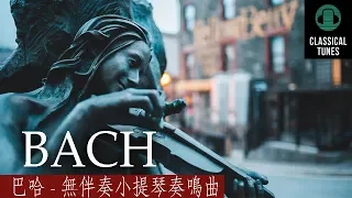 巴哈 - 夏康舞曲 - 無伴奏小提琴奏鳴曲 Bach Violin Partita no. 2 - Chaconne
