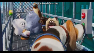 The Secret Life of Pets - Going to the Sewers