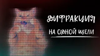 Дифракция Френеля, Фраунгофера. Принцип Гюйгенса.  Single slit diffraction (на одной щели)