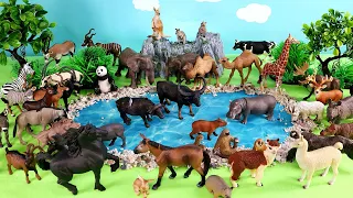 Safari and Island Diorama for Herbivorous and Carnivorous Animal Figurines