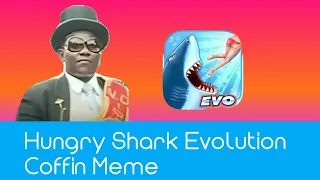 Hungry Shark Evolution Coffin Meme