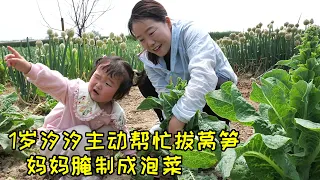 1岁的女儿长大了，主动帮忙拔莴笋，妈妈腌制成泡菜，做夏天必备开胃菜