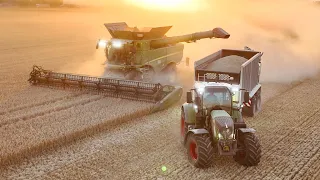 JOHN DEERE S780i im Sonnenuntergang in der Weizenernte | Fendt Vario | Fliegl | agrarfreak_hd