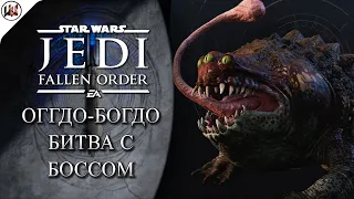 Star Wars Jedi: Fallen Order - Босс #1. Оггдо-Богдо - Жаба переросток!