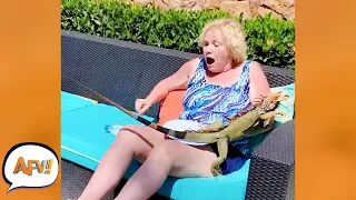 OMG! That Iguana STOLE Her PIZZA! 😱 | Funniest Animal Attacks | AFV 2021