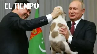 Vladimir Putin recibe un regalo curioso en su cumpleaños | El Tiempo