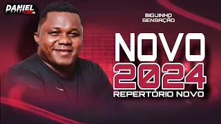 BIGUINHO SENSAÇÃO REPERTÓRIO NOVO 2024
