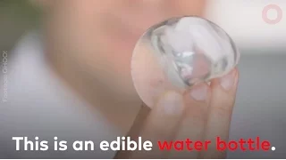This is an Edible Water Bottle