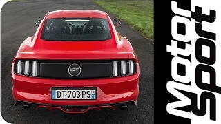 Ford Mustang GT 5.0 - 0-250 km/h (Motorsport)