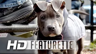 The Drop | Rocco The Puppy | Featurette HD