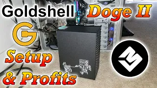 Is it Profitable - Goldshell Doge II Miner Setup & Profitability