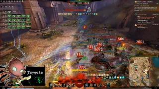 GW2 WvW - Power Berserker - Massive Cleave Damage!