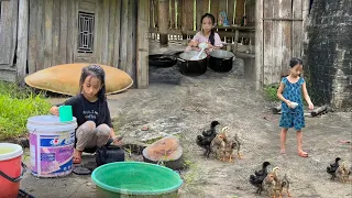 FULL VIDEO: Poor girl for 30 days cooks rice, cleans house, raises chicks