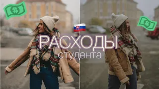 СТУДЕНЧЕСКИЕ РАСХОДЫ В СЛОВАКИИ | сколько я реально трачу?