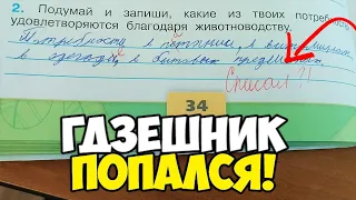 Проверяю рабочие тетради по окружающему миру - 3 класс #7