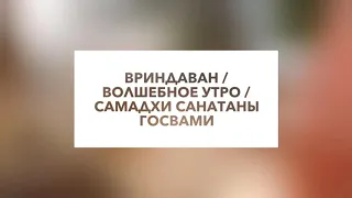 Вриндаван / самадхи Санатаны Госвами / февраль 2020