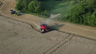 Wheat Harvest 2023 Mulliken Michigan