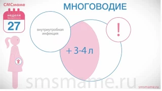 27 неделя беременности: многоводие и маловодие