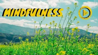 Relaxing Nature Sounds with Birds Singing in the Morning [ Mindfulness Chill out ]