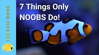 7 Things Only NOOB Reefers Do