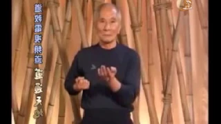 SIU LIM TAO. (FULL BY IP CHUN)