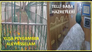 İstanbul boğazının kuzeydeki bekçileri  #  YUŞA PEYGAMER ALEYHİSSELAM   ve  # TELLİ BABA HAZRETLERİ.