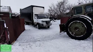 Жерёбые кобылы осторожно заходят по трапу.