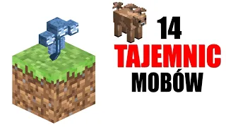 14 SECRETS MINECRAFT MOBS