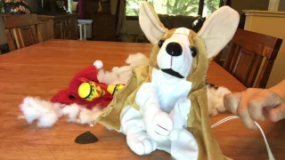 Animated Puppy With Maracas Without Fur