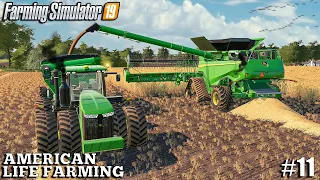 I found TWO NEW FIELDS to Harvest | American Life Farming | Farming Simulator 19| #11