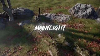 Anastasia Luna "Moonlight" Lyric Video